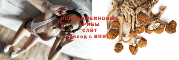 ECSTASY Заволжск