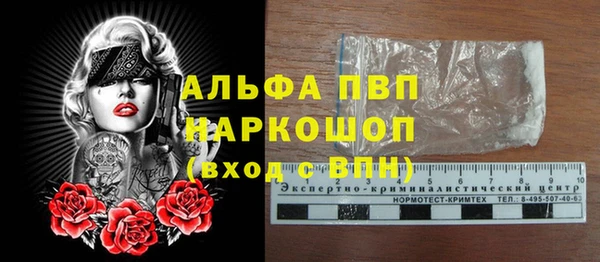 PSILOCYBIN Зеленодольск
