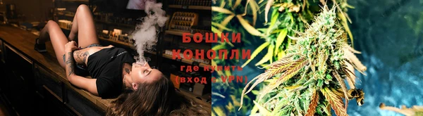 крисы Зеленокумск