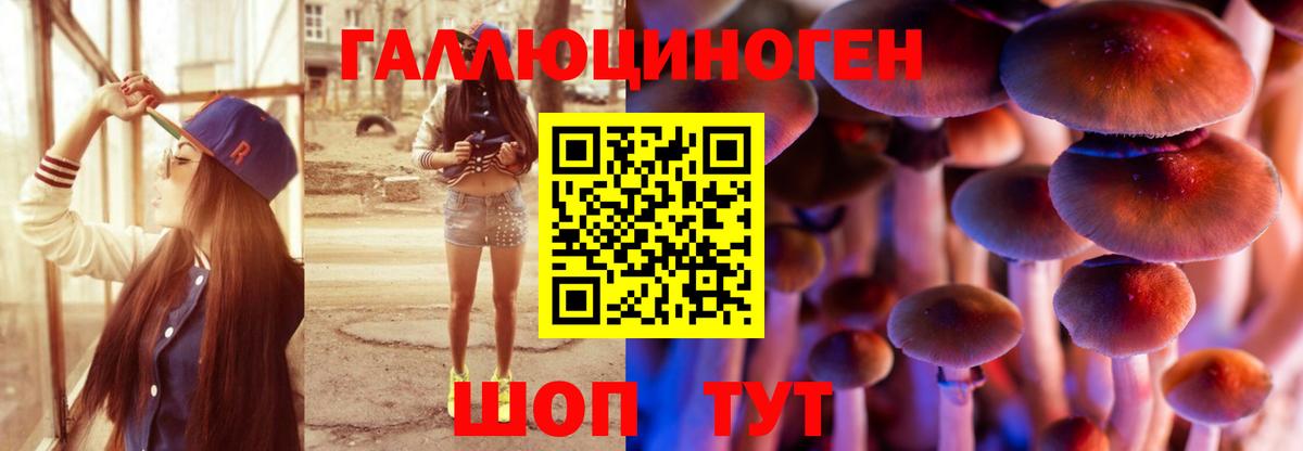 Галлюциногенные грибы мицелий  Вход с VPN  Советская Гавань 